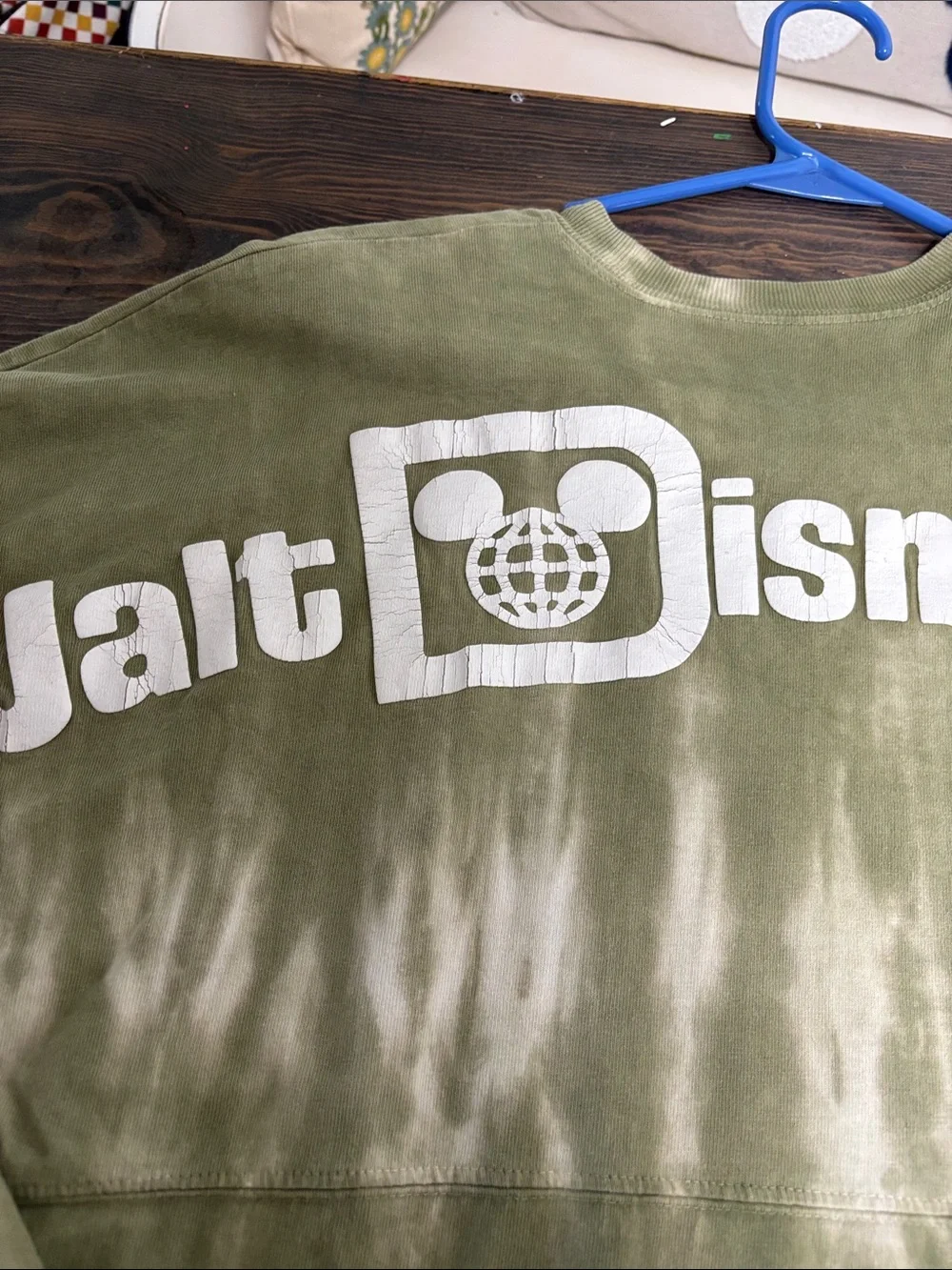 Walt Disney World Spirit Jersey